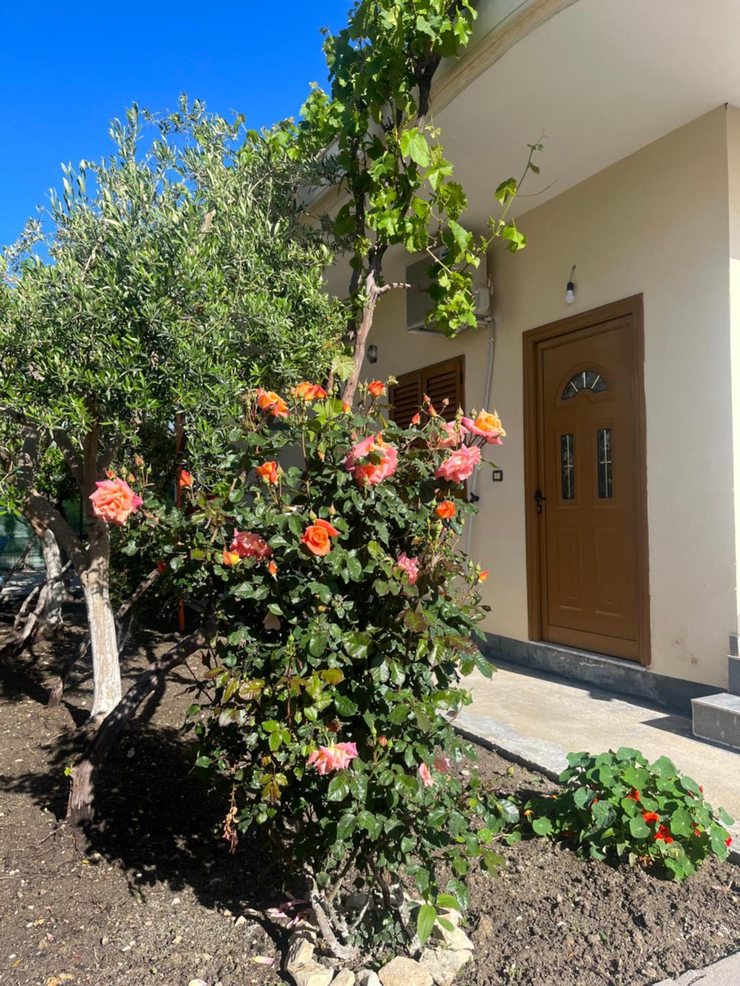 Blossom Apartments فلورا المظهر الخارجي الصورة