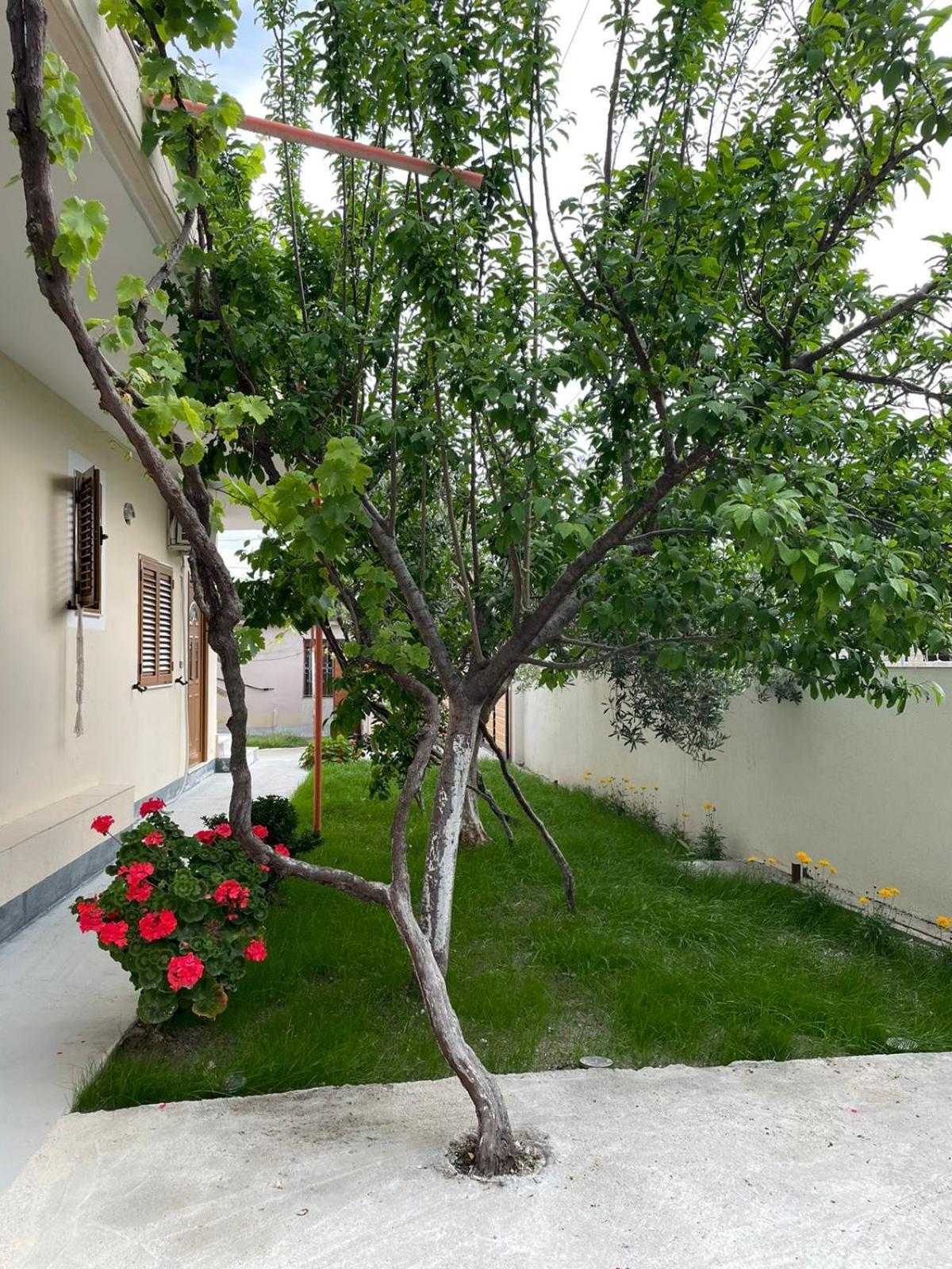 Blossom Apartments فلورا المظهر الخارجي الصورة